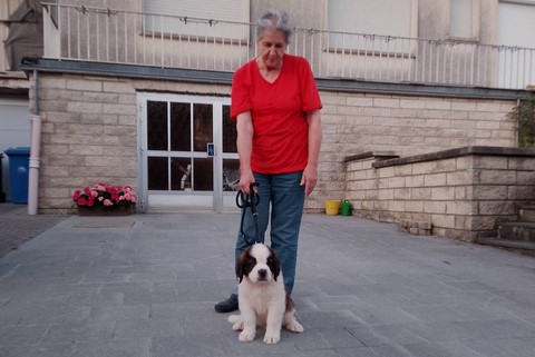 Rhapsody von den Grossen Strolchen mit Bachbarin