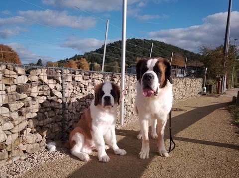 Rhapsody & Tata Orly