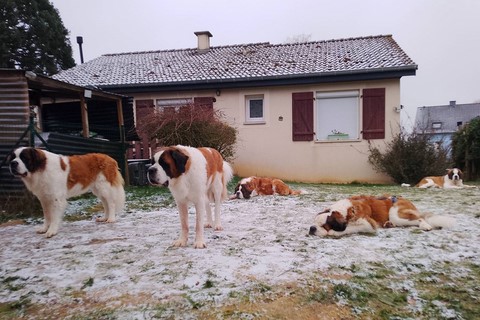 Familie vom Haselrecht 