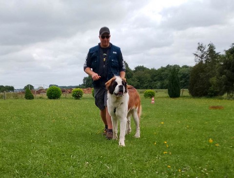 Trainer Ronald & Rhapsody