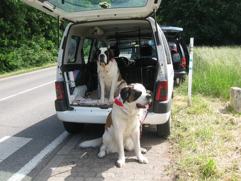 16.05.2011 Wandertag im Saarland