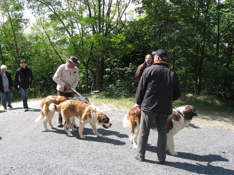 16.05.2011 Wandertag im Saarland