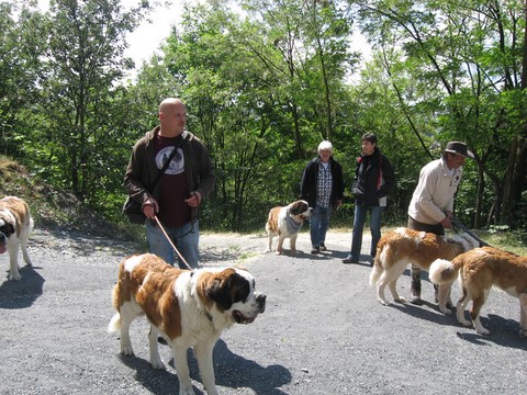 16.05.2011 Wandertag im Saarland
