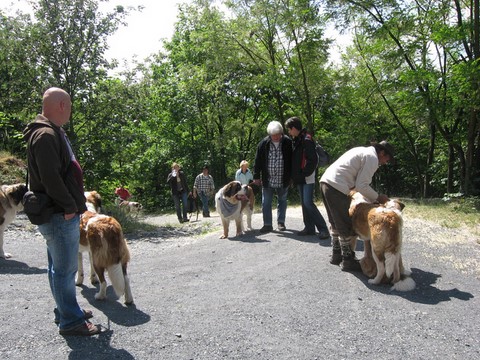 16.05.2011 Wandertag im Saarland