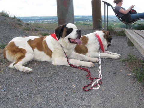 16.05.2011 Wandertag im Saarland