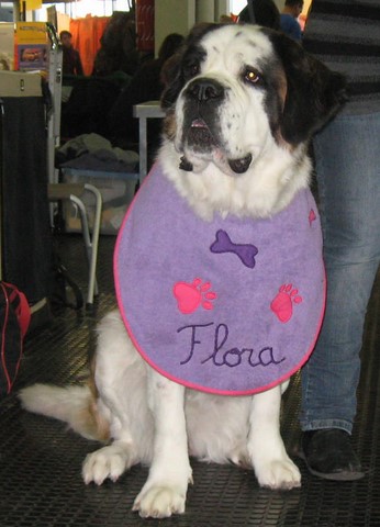 Flora