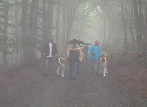 1 Juli 2012 Spaziergang im Saarland