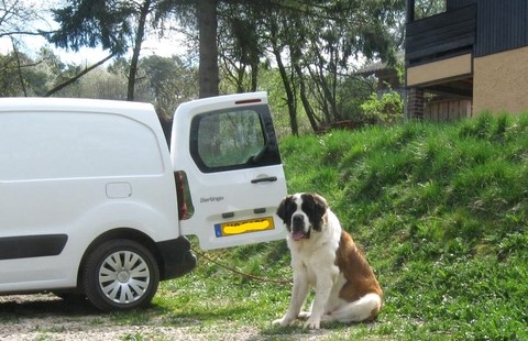 06.04.14 Spaziergang mit Bernhardinerklub