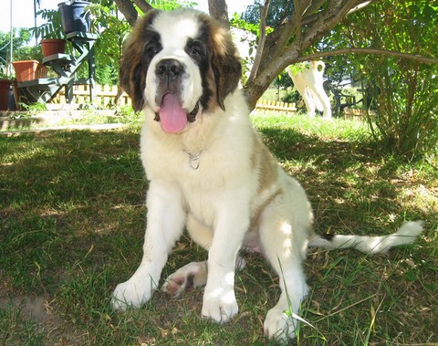 Oxana presque 4 mois