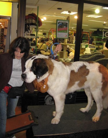 Xionara Vaya v.`t Beukeböschke