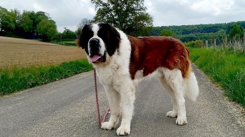 Jayant vom Haselrecht