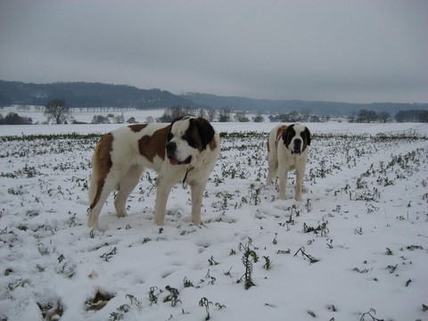 Xionara & Oxana 06.12.10