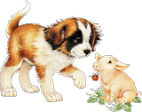 Bébés chien - Cochon